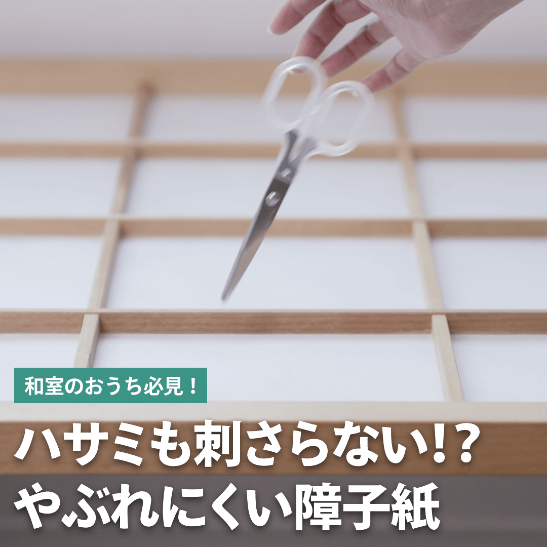 あれ？破れてない！