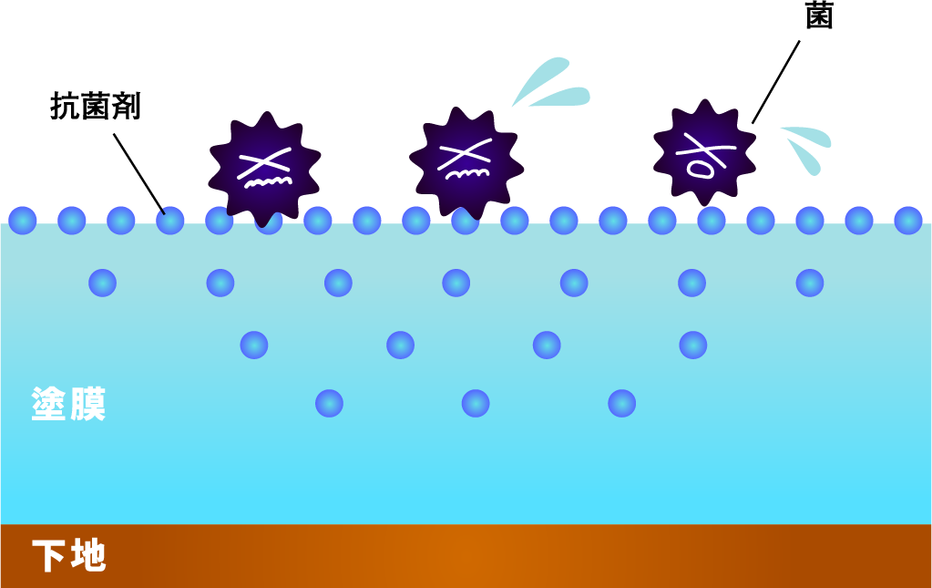 塗膜の表面に抗菌剤が多く分布します