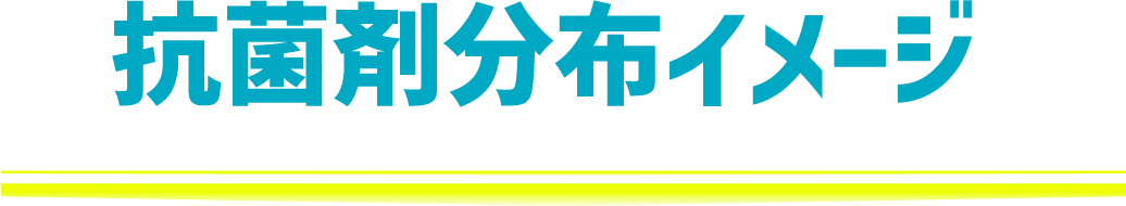 抗菌剤分布イメージ