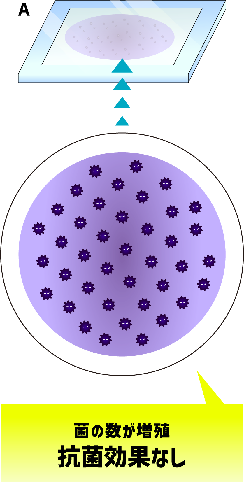 菌の数が増殖　抗菌効果なし