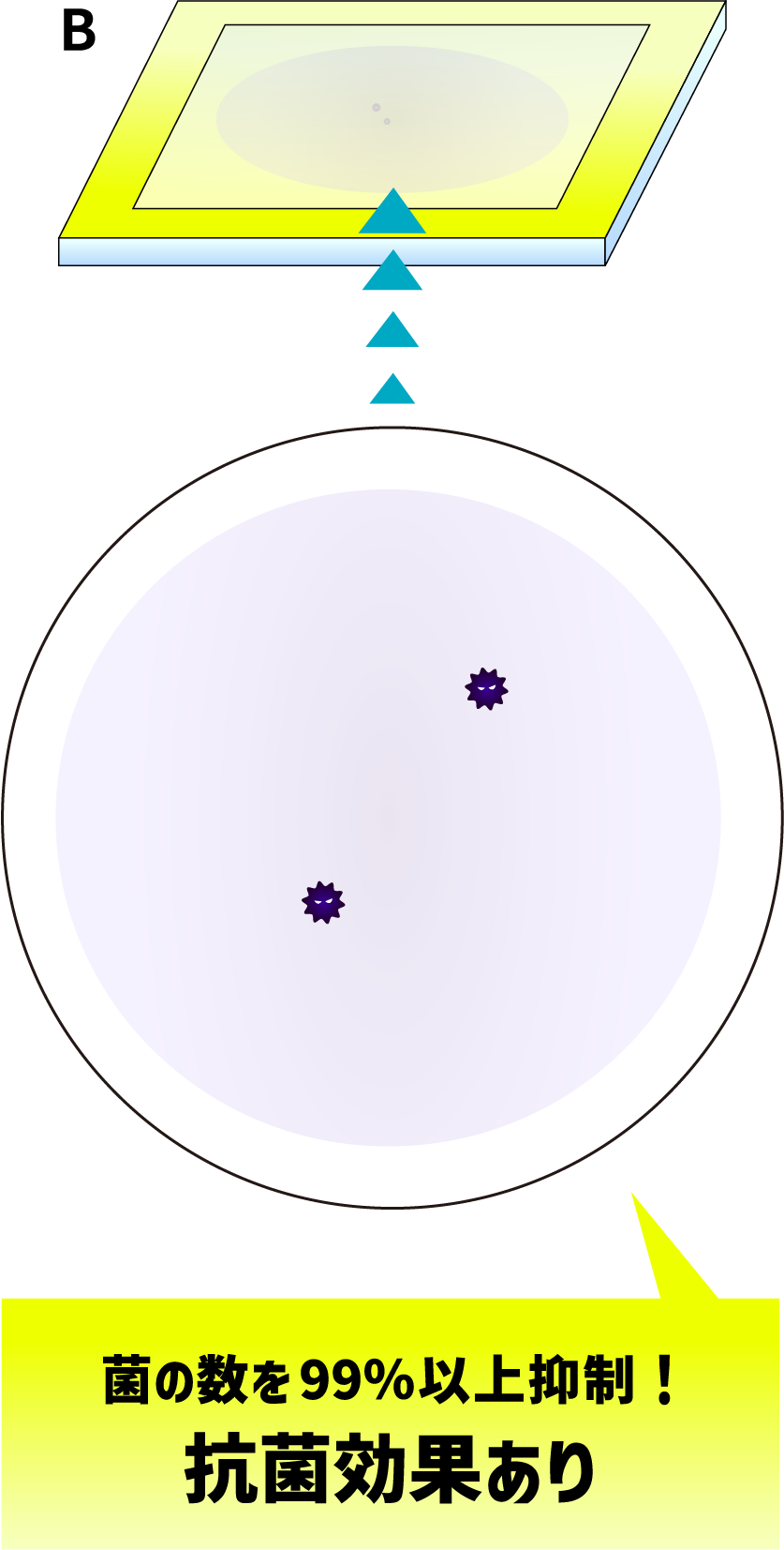 菌の数を99％以上抑制！　抗菌効果あり