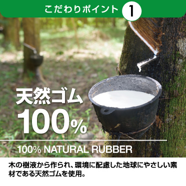 ポイント1